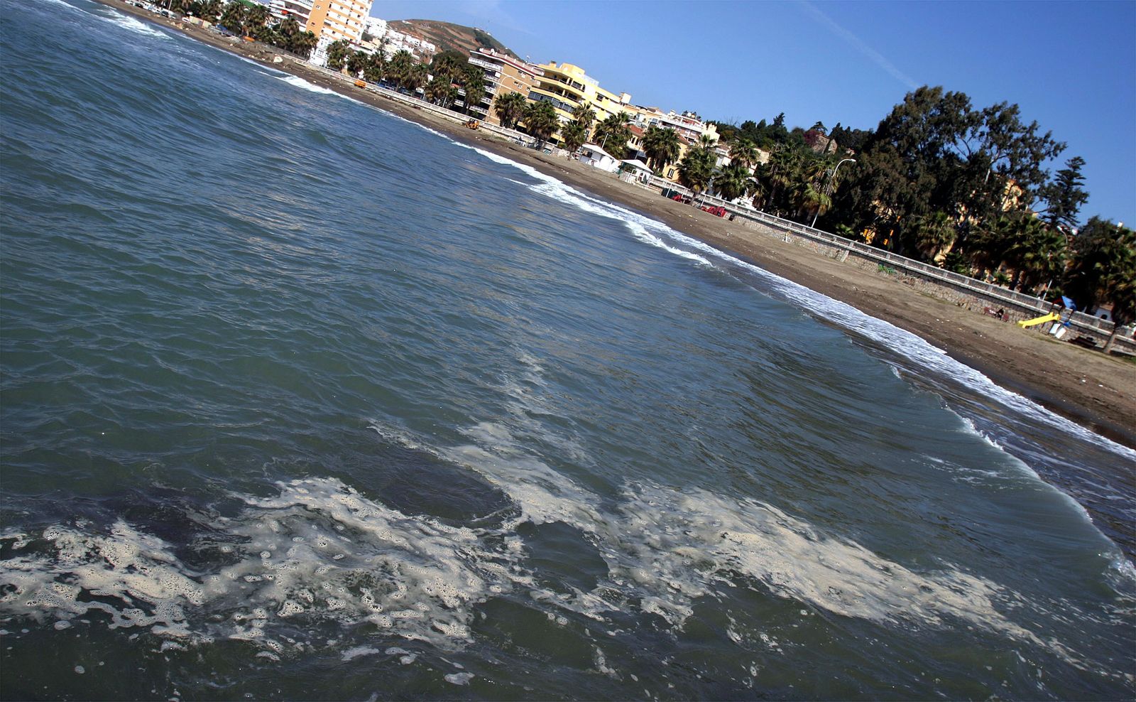 Espuma o nata del mar que se forma cerca de la orilla.