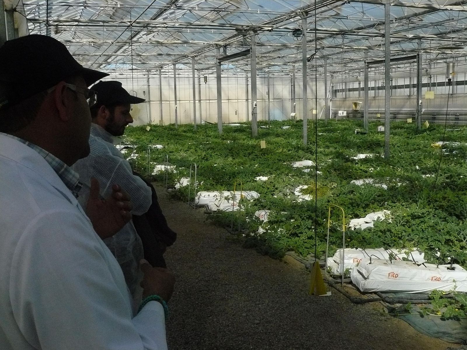 Oxifertirrigación, necesaria cuando la necesidad de oxígeno afecta al crecimiento.