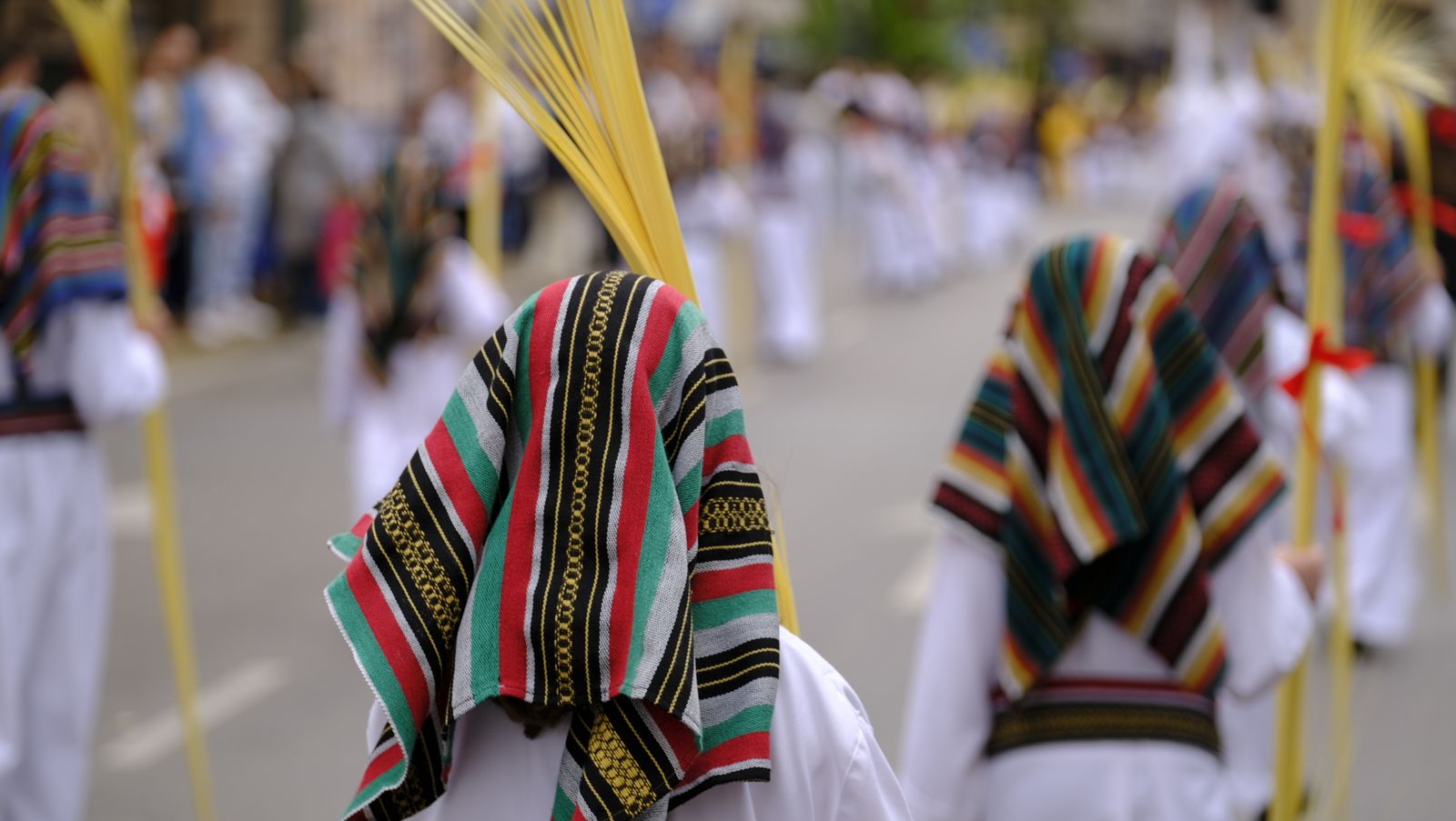 La Borriquita procesiona por las calles de Almería, en imágenes