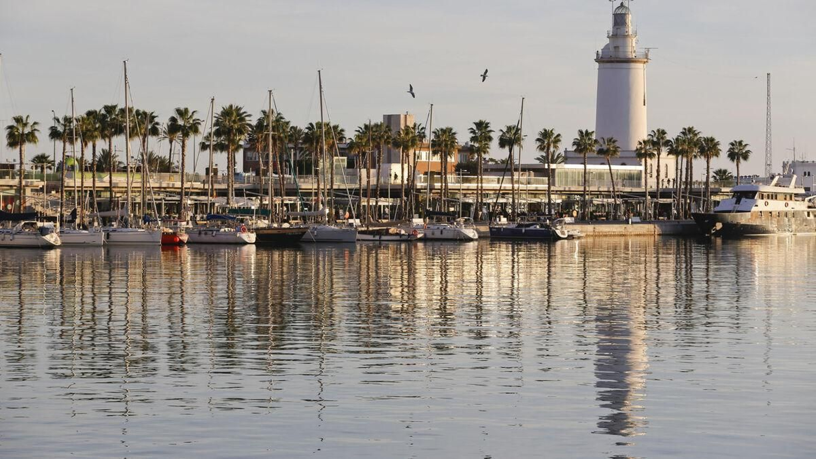 El Palmeral de las Sorpresas