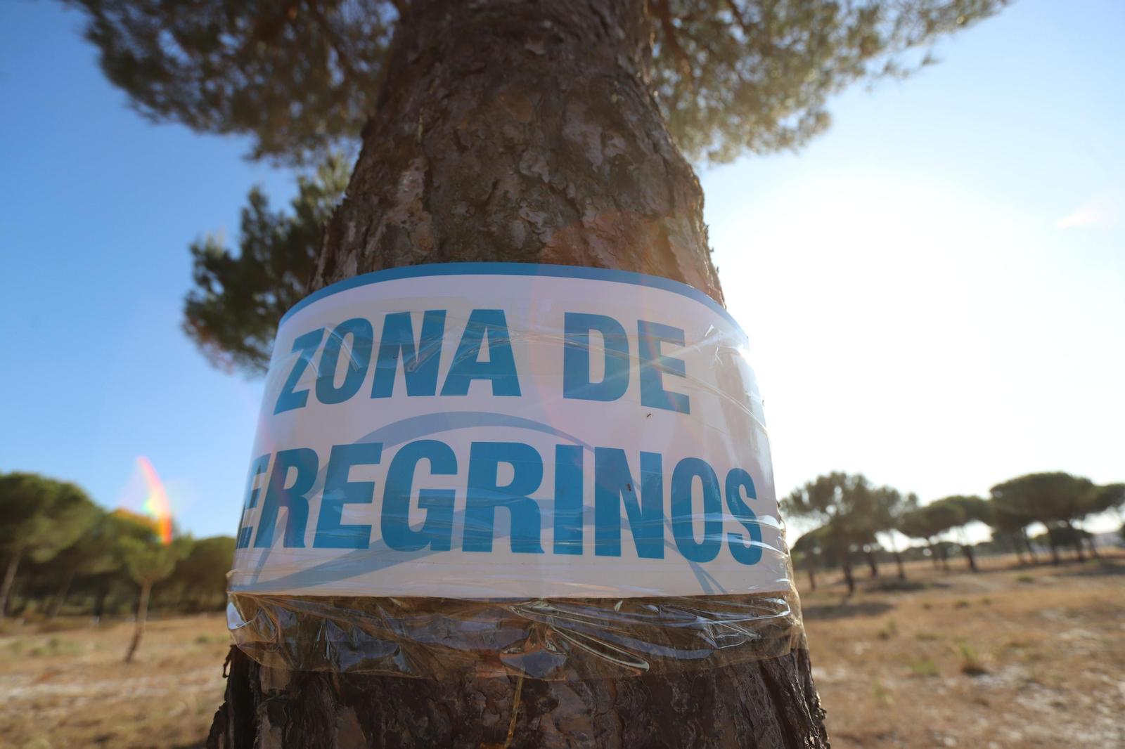 Imágenes del estado en el que se encuentran los caminos del Rocío para la Romería 2023