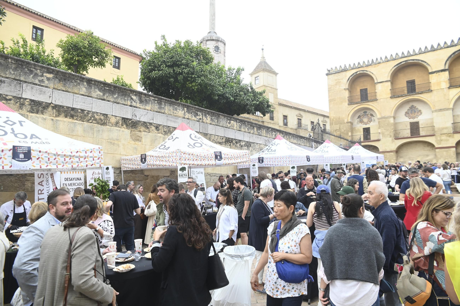 Las mejores tapas del Córdoba Califato Gourmet, en imágenes