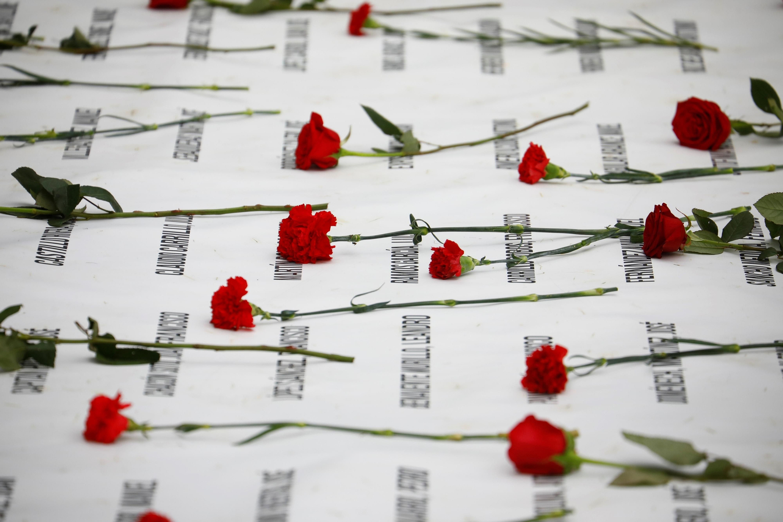 El acto de homenaje previo a las exhumaciones de las fosas en la Salud, en imágenes