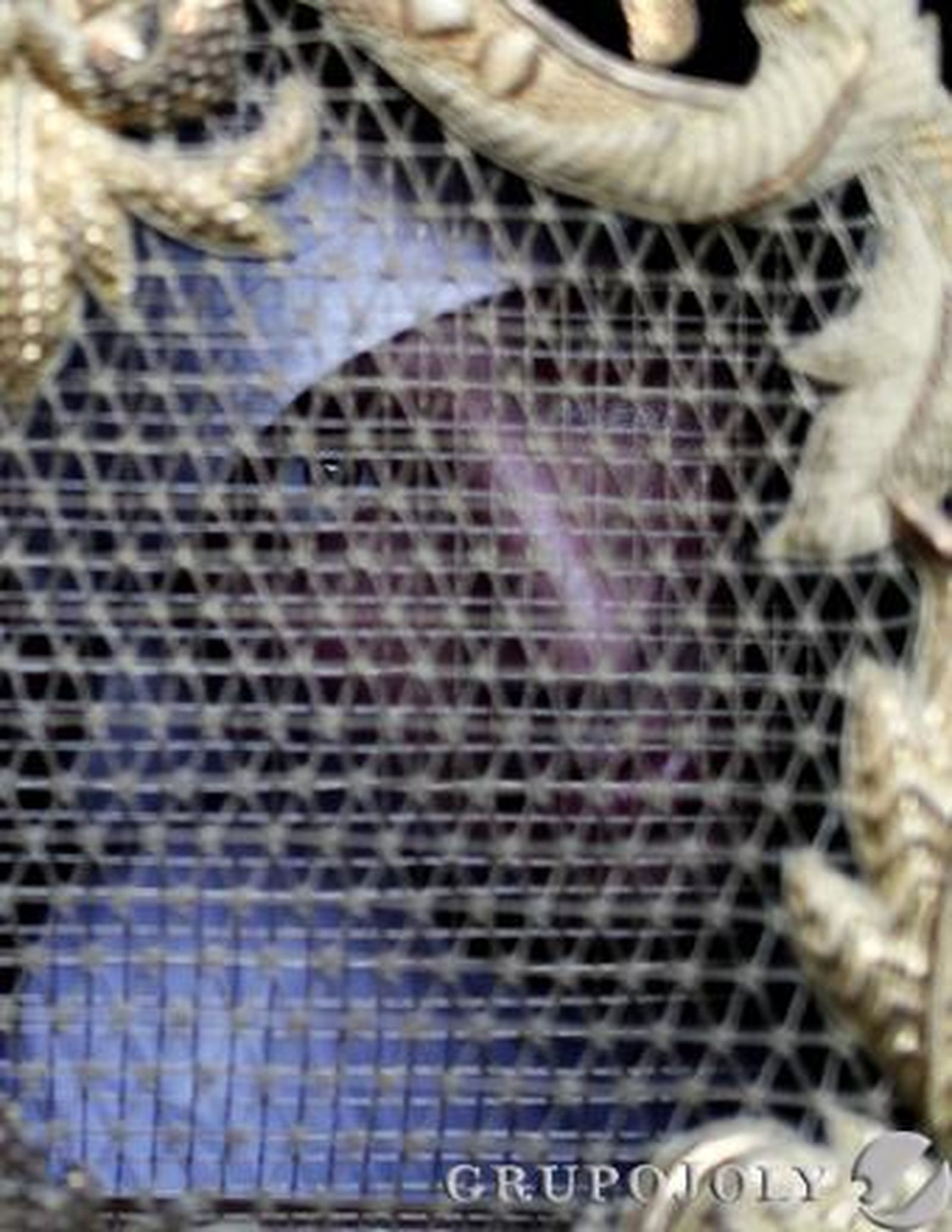 Foto: García Cordero