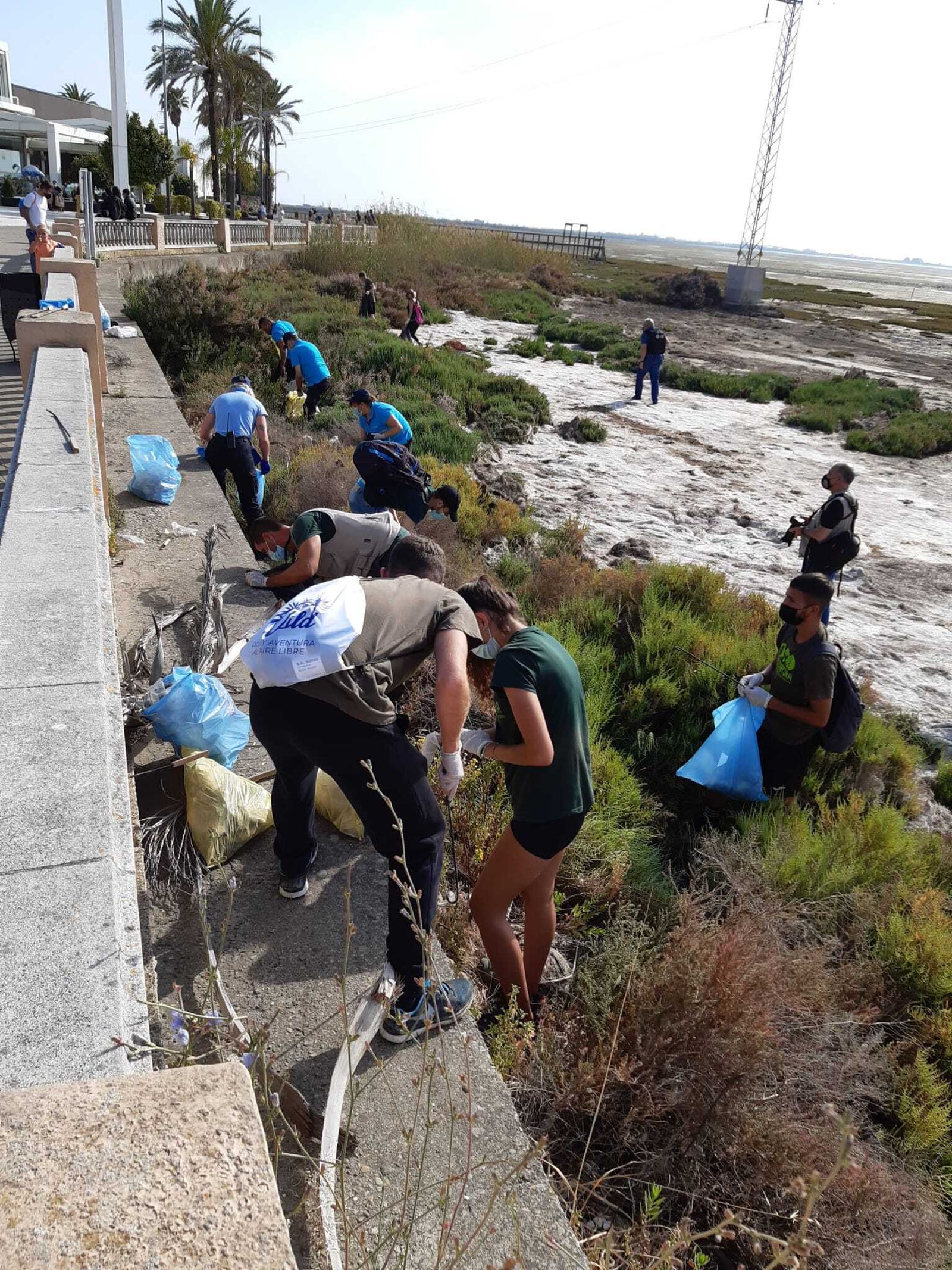 Limpieza del borde de la Bahía en la zona de Bahía Sur.