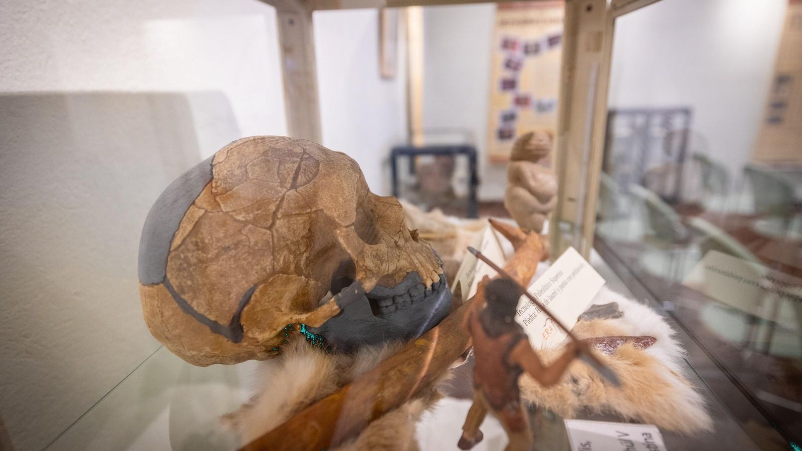 La exposición se podrá visitar durante toda la semana en la Casa de Los Toruños.