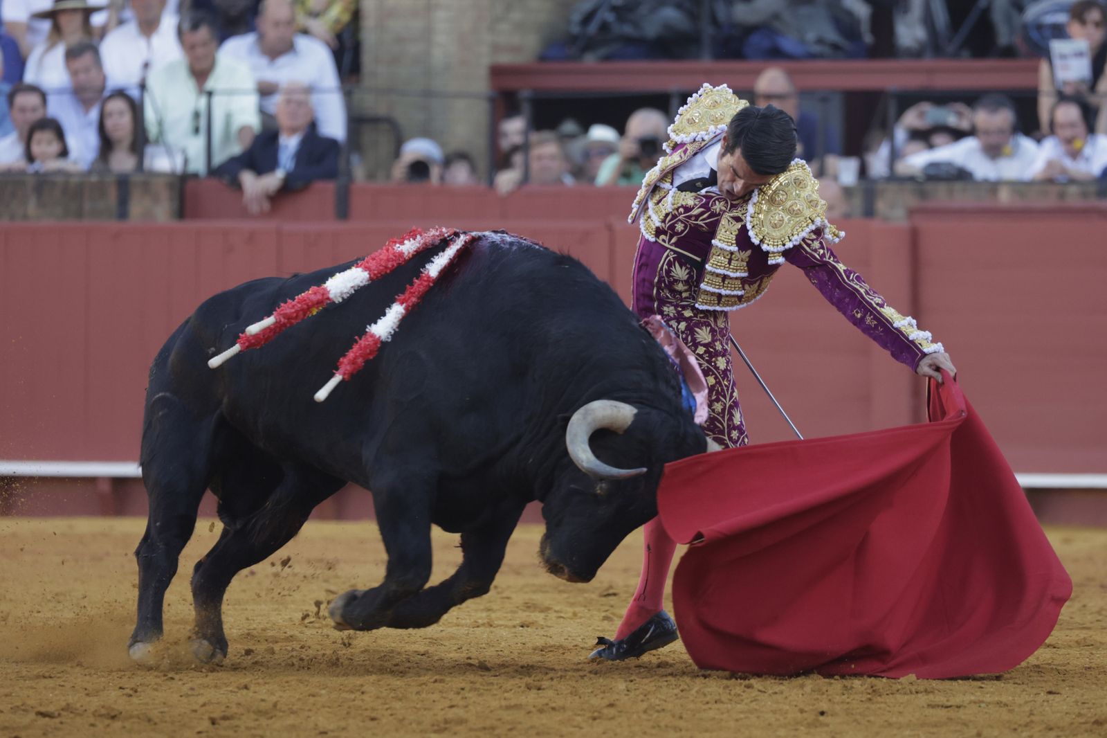 Las imágenes del festejo