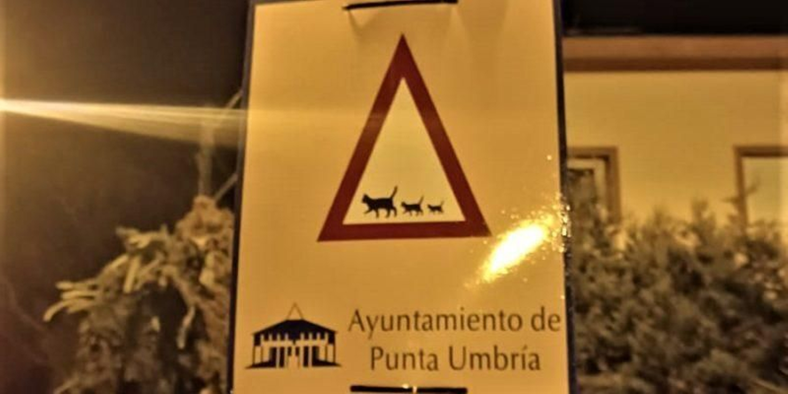 Está instalada junto a la Torre Almenara