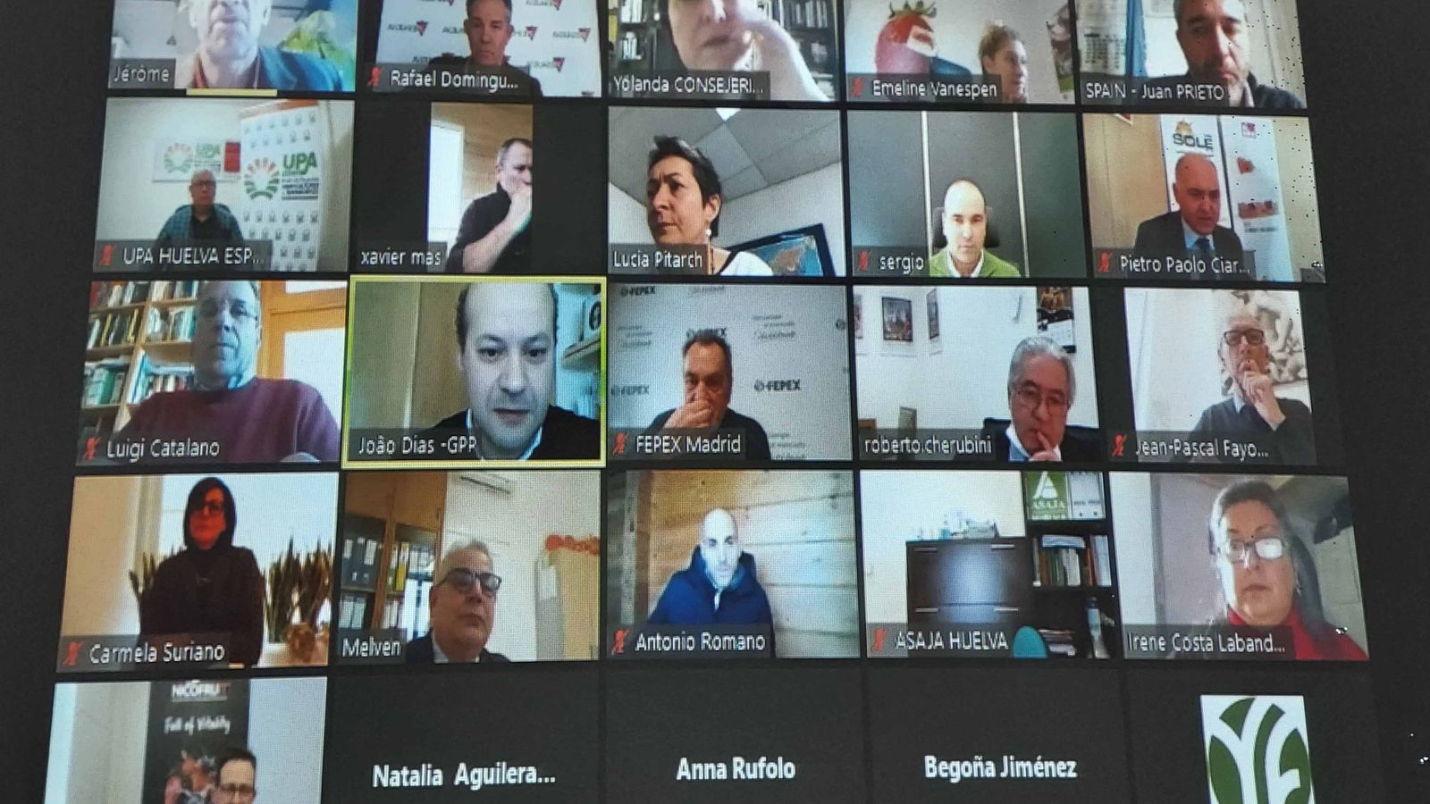 Un momento de la reunión telemática celebrada ayer por productores europeos de la fresa.