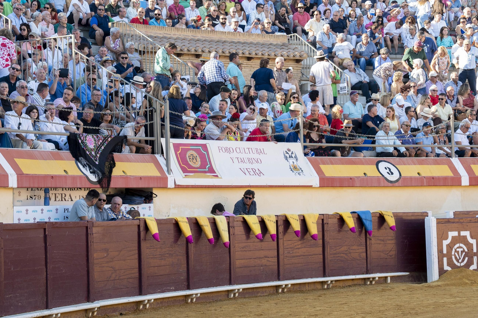 Las imágenes de los toros en Vera