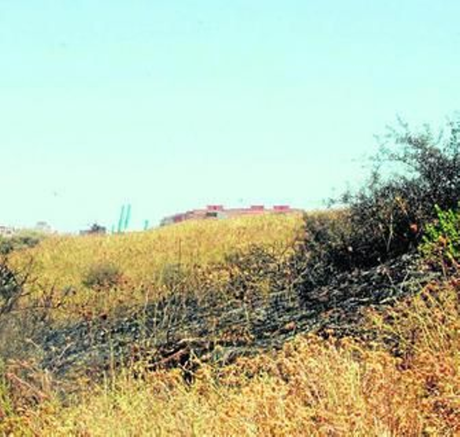 Imagen de una de las zonas de pasto afectada por las llamas en la barriada de La Perlita, ayer.