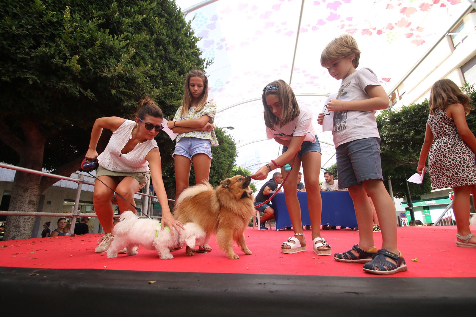 Fotogalería del concurso canino. Feria de Almería 2019