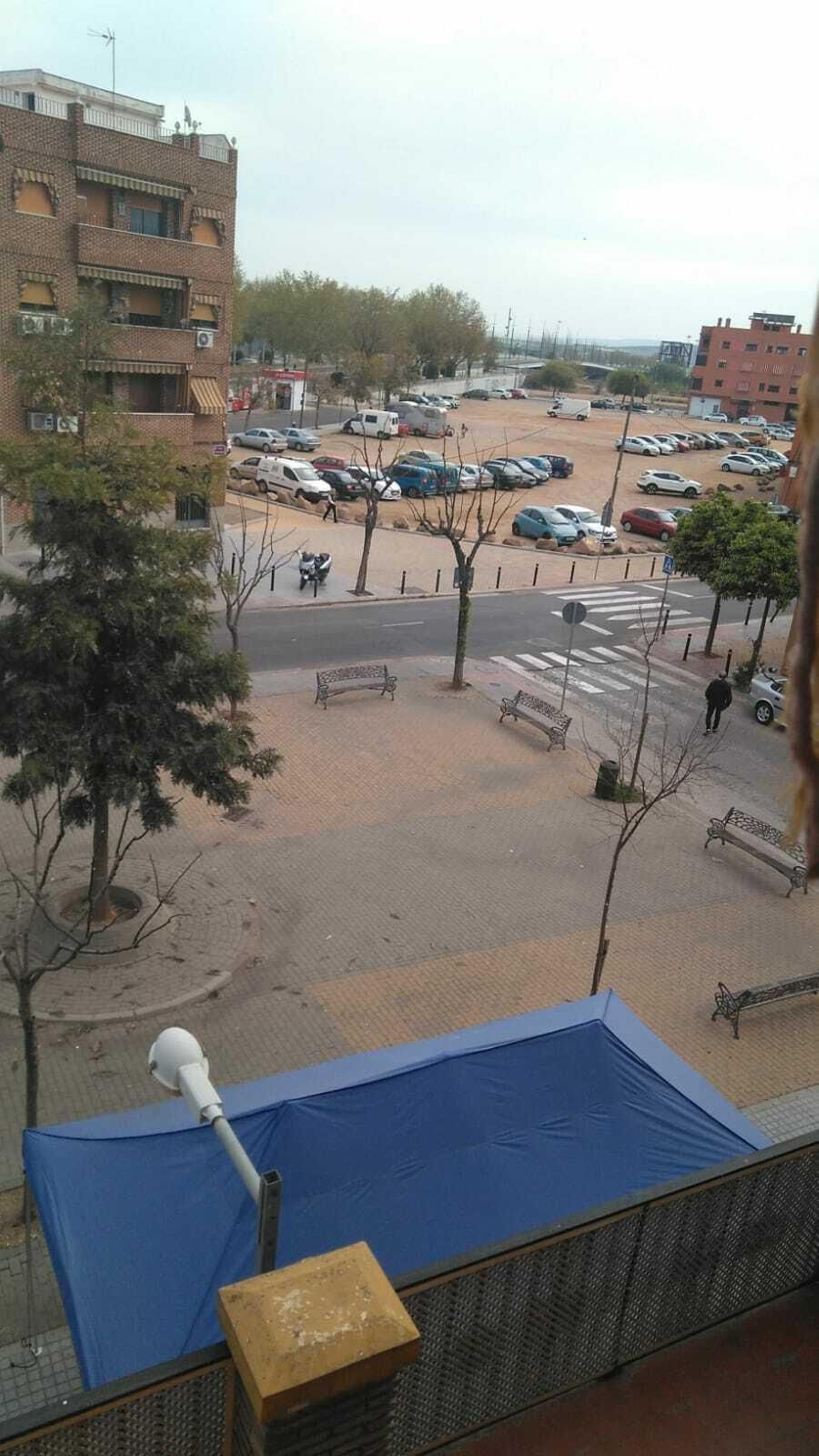 Coronavirus en Córdoba: '#CórdobaDesdeMiVentana', las imágenes de los cordobeses en estado de alerta