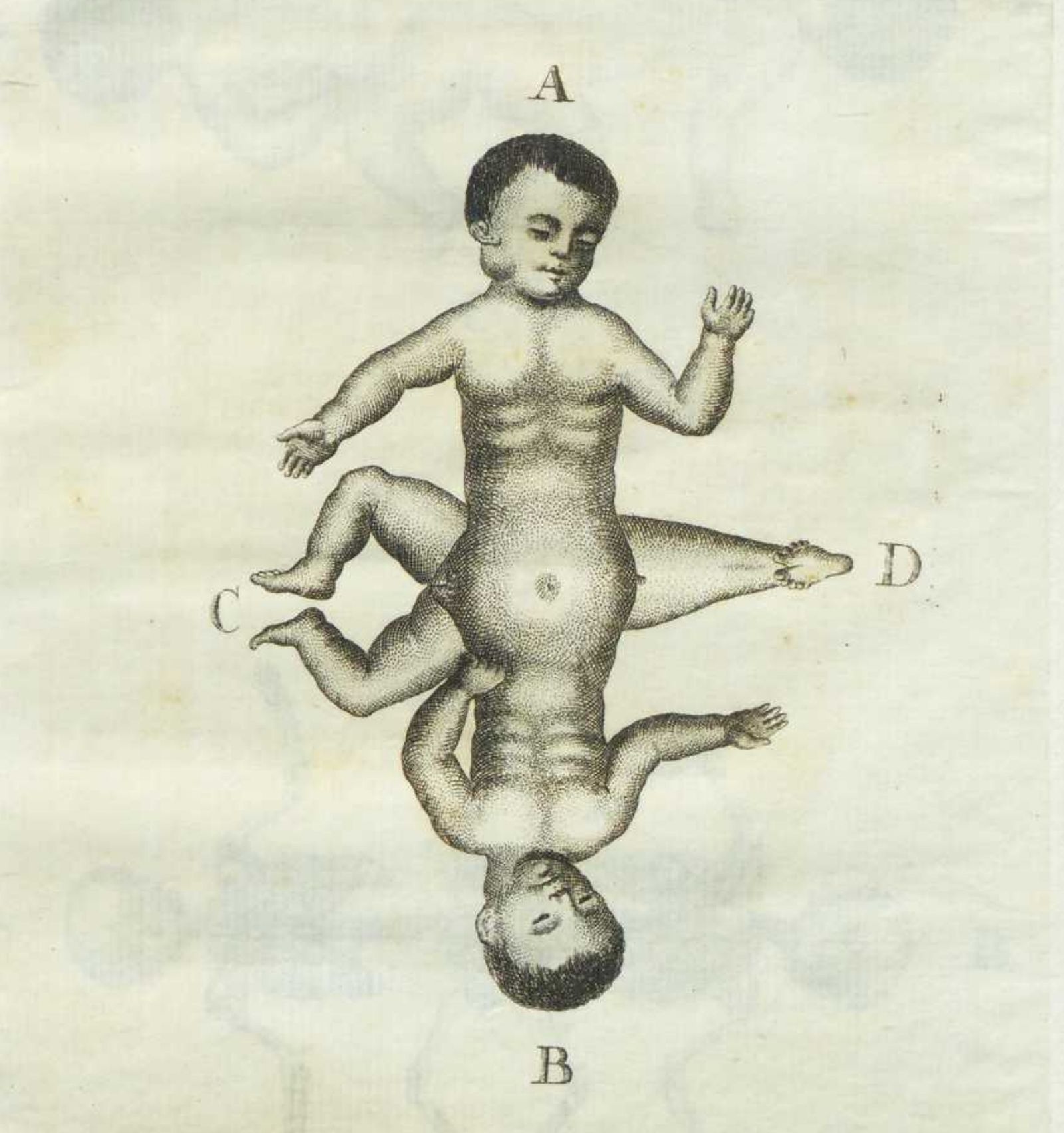 Exposición histórica del monstruo. 1818. Biblioteca de la Universidad de Cádiz.