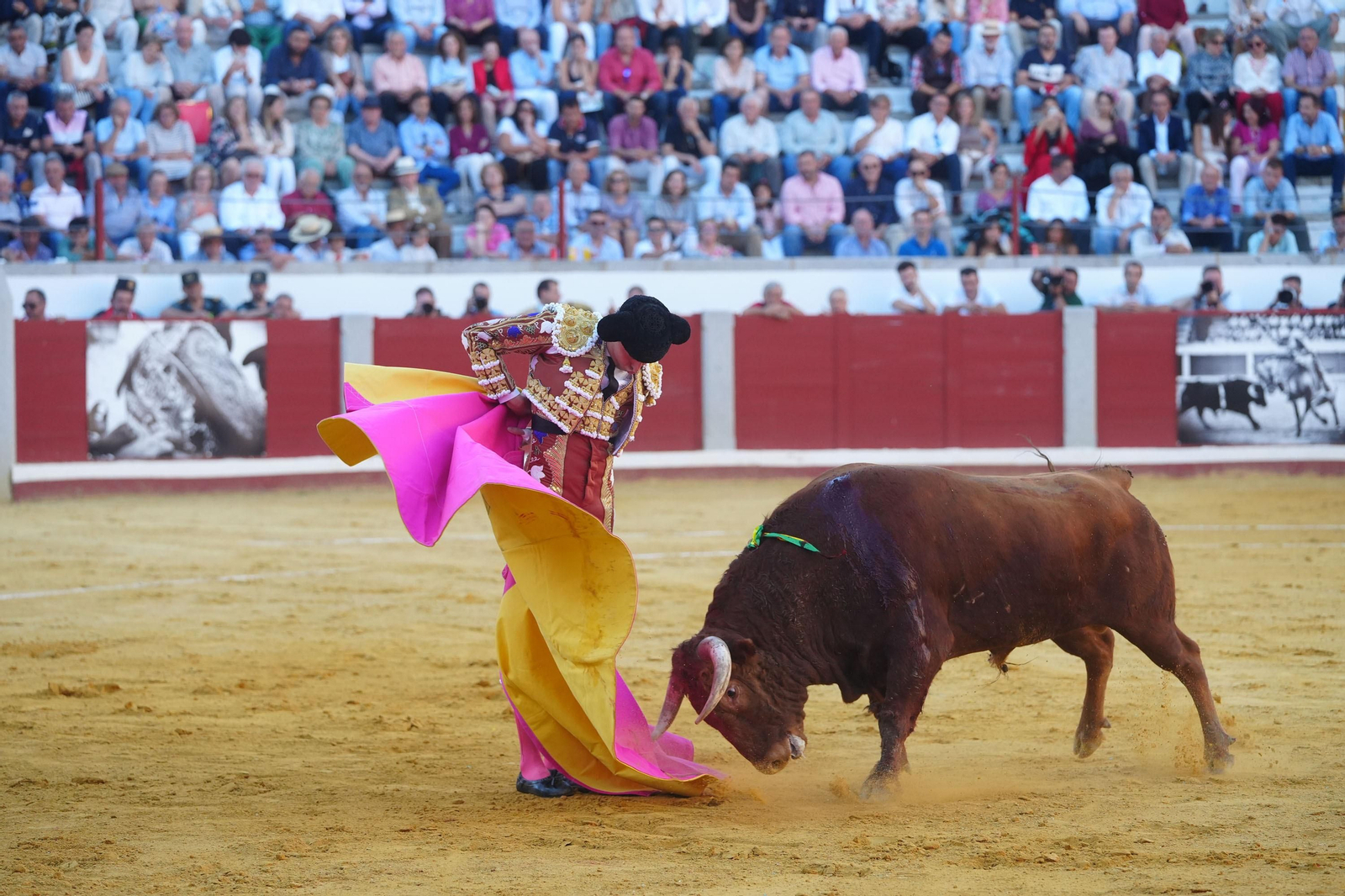 El triunfo de Rocío Romero, Manzanares y Roca Rey en la plaza de toros Pozoblanco, en imágenes