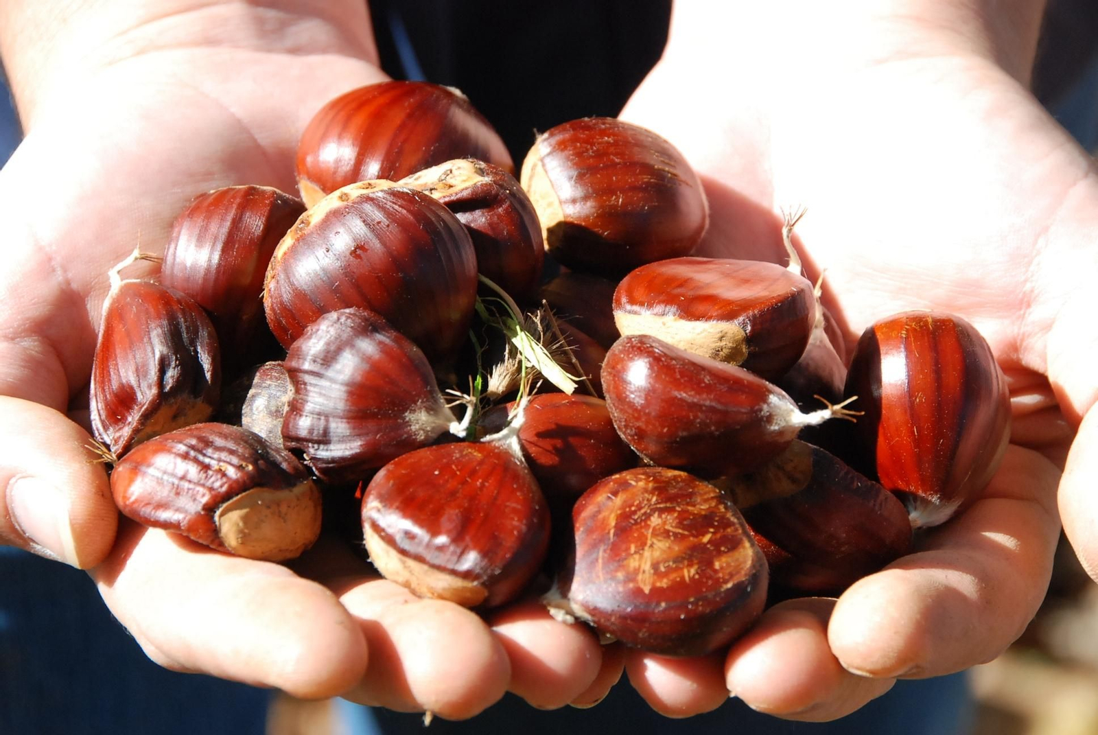 Una feria del fruto que da nombre a este pueblo onubense