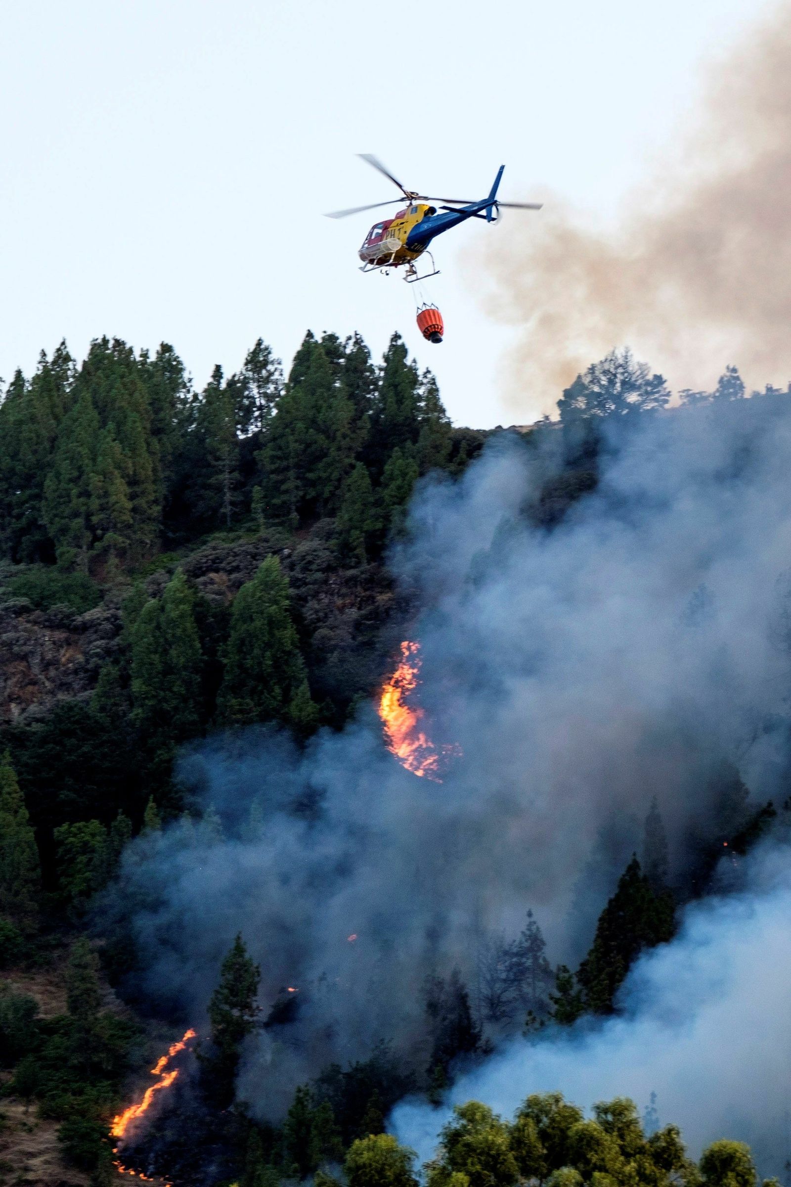 Las imágenes del incendio forestal en Gran Canaria.