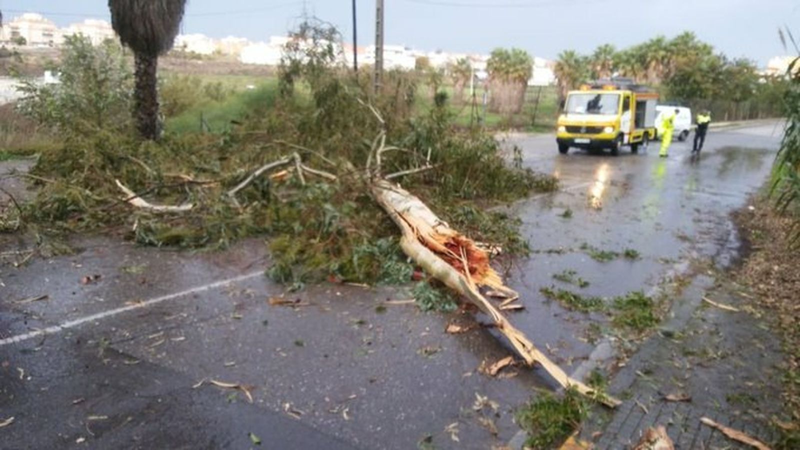 El cuerpo de bomberos y la Policía Local trabajan en la carretera de La Jara y otras zonas de la ciudad.