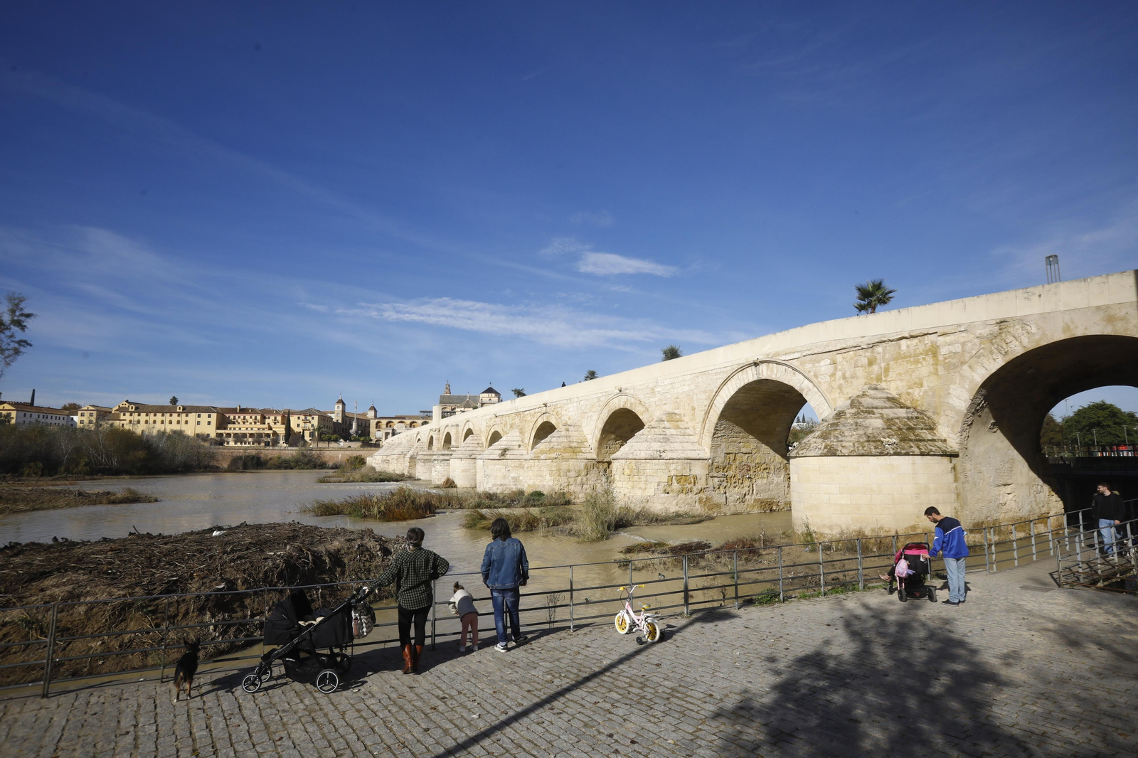 El caudal del río Guadalquivir recupera la normalidad en Córdoba, en imágenes