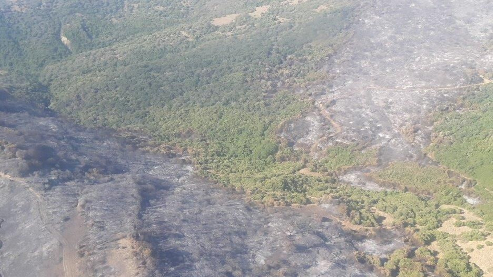 Incendio en el cortijo de La Hoya de Algeciras