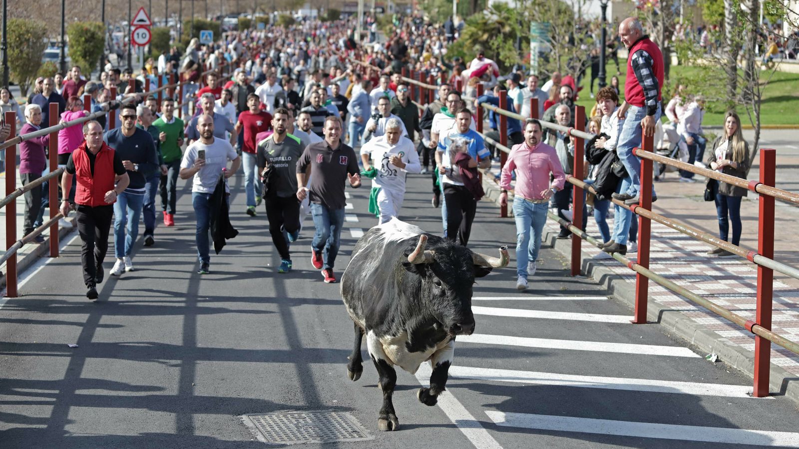 Toro de la Víspera en Los Barrios