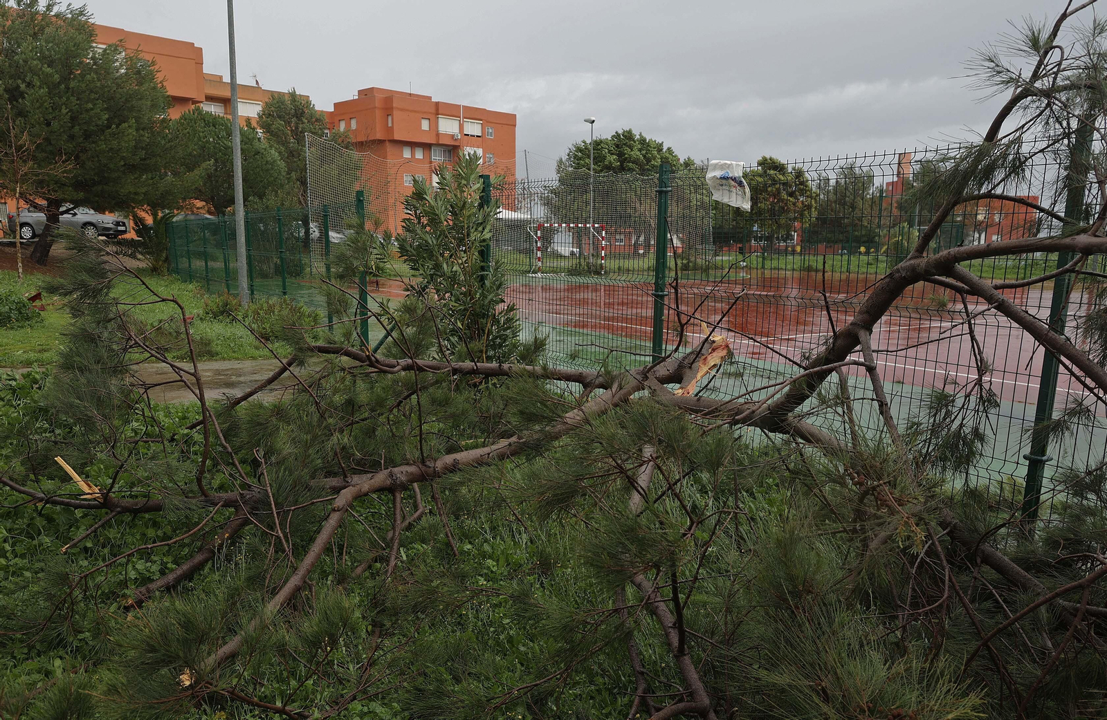 Fotos de los daños del temporal Karlotta en Algeciras