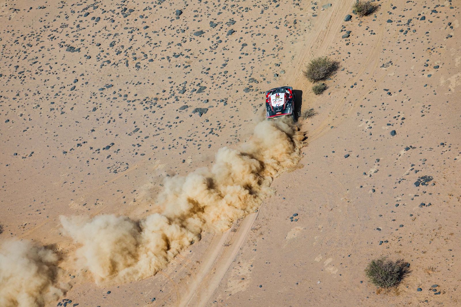 Las mejores fotos del Rally Dakar | undécima etapa