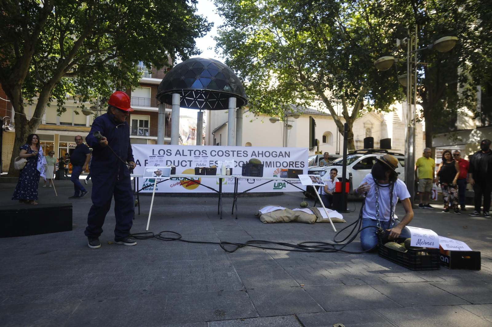 La concentración a favor del campo y el sector agrario en Córdoba, en imágenes