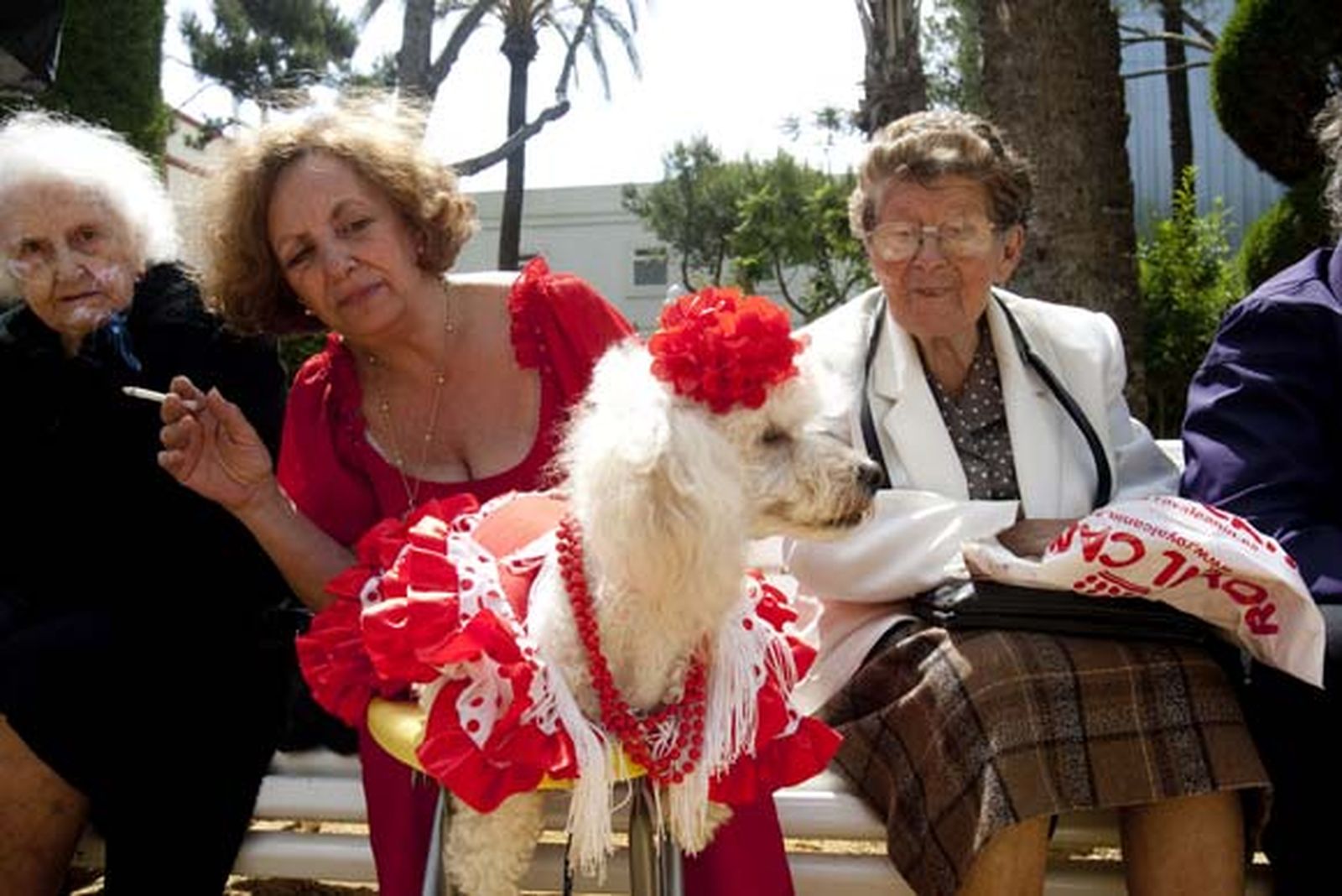 Más de 500 perros participaron en el evento, que contó con una exhibición de las Fuerzas del Orden


Foto: Lourdes de Vicente
