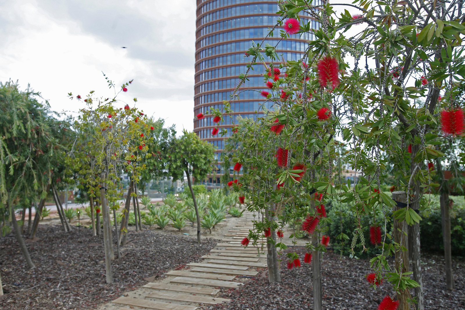 Las cubiertas vegetales del Centro Comercial Torre Sevilla
