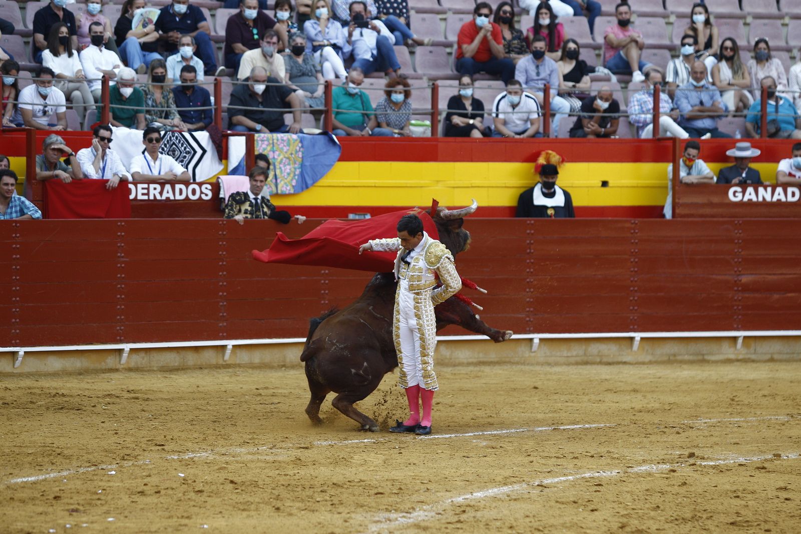 Fotogalería corrida de toros. Cayetano Rivera, Paco Ureña y Roca Rey. Roquetas de Mar.
