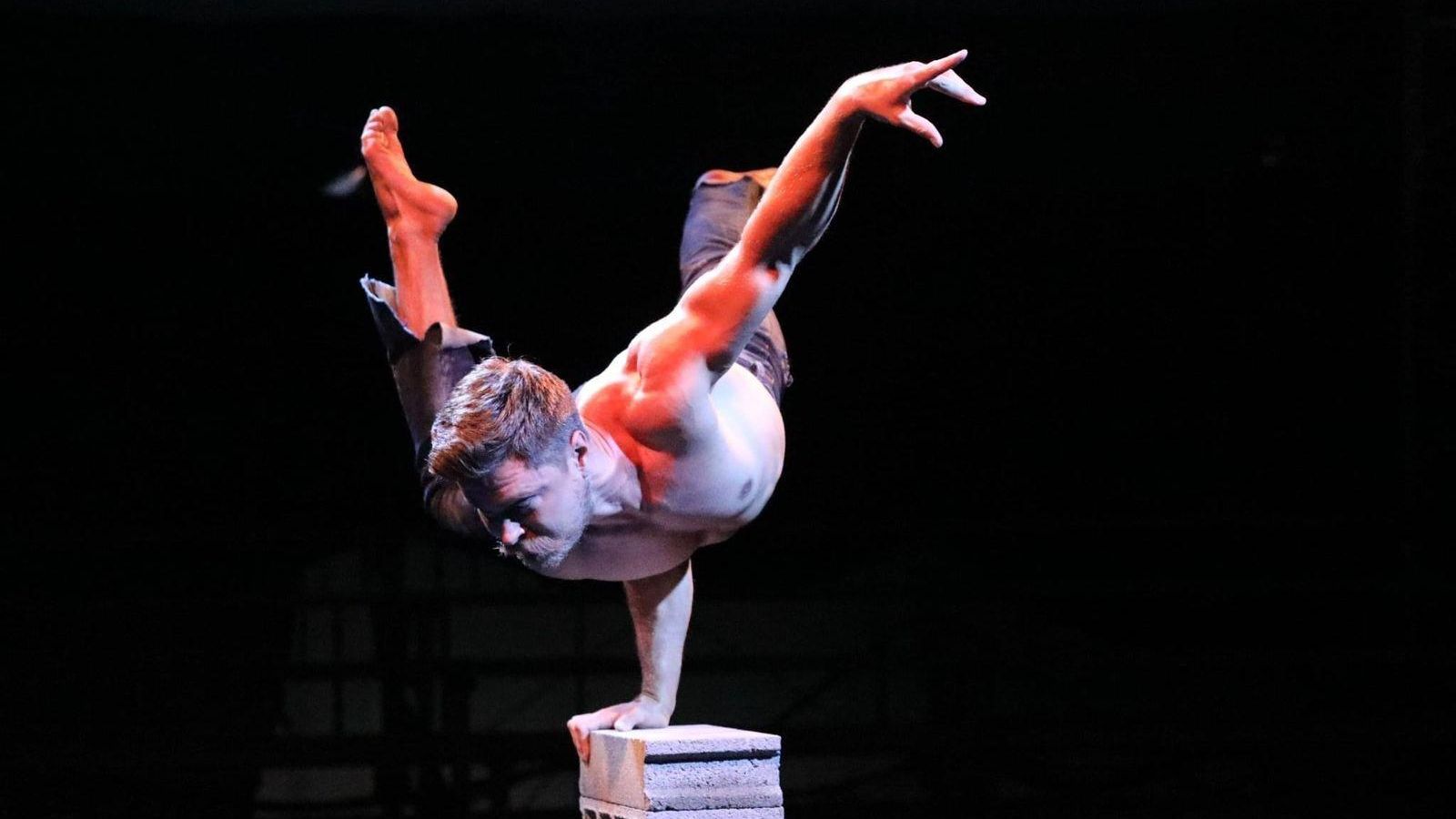 Circo de la Navidad.