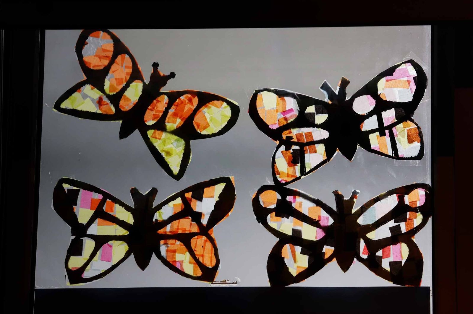 Imágenes de la asociación AONES