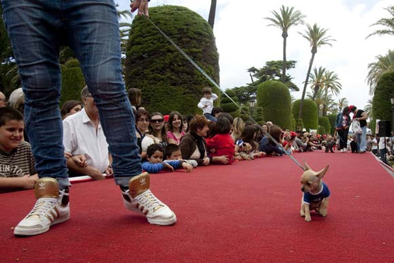 Más de 500 perros participaron en el evento, que contó con una exhibición de las Fuerzas del Orden


Foto: Lourdes de Vicente