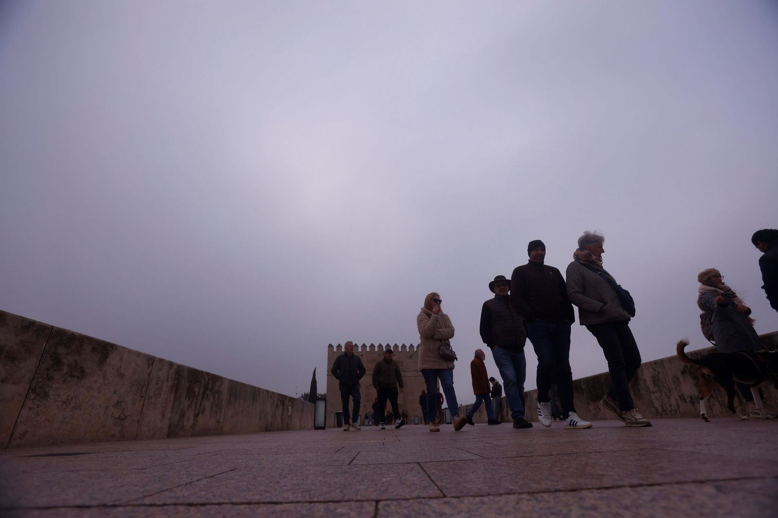 Córdoba amanece bajo la niebla el último día de 2025, en fotos