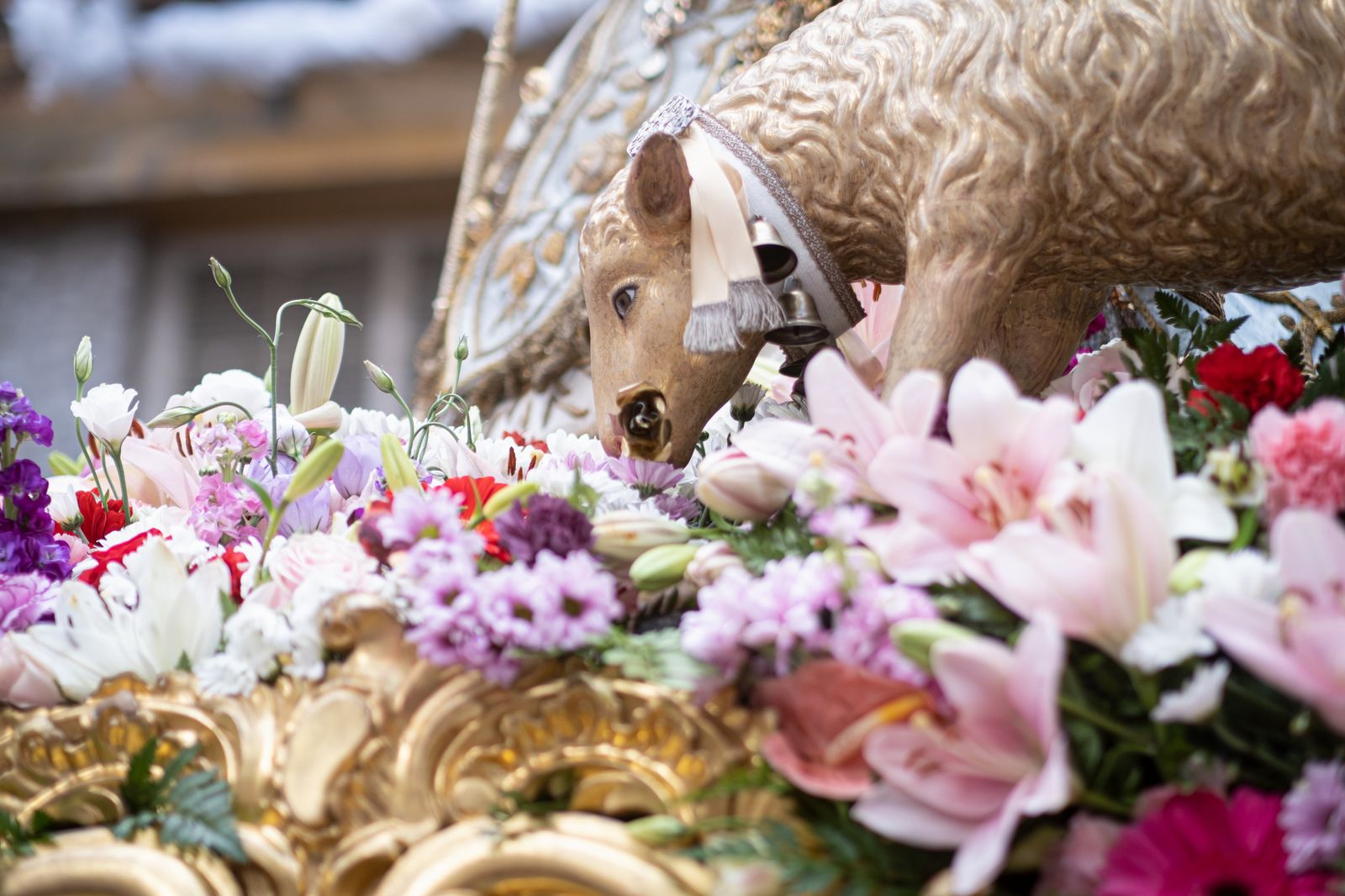 Las imágenes de la salida de la Divina Pastora de Santa Marina