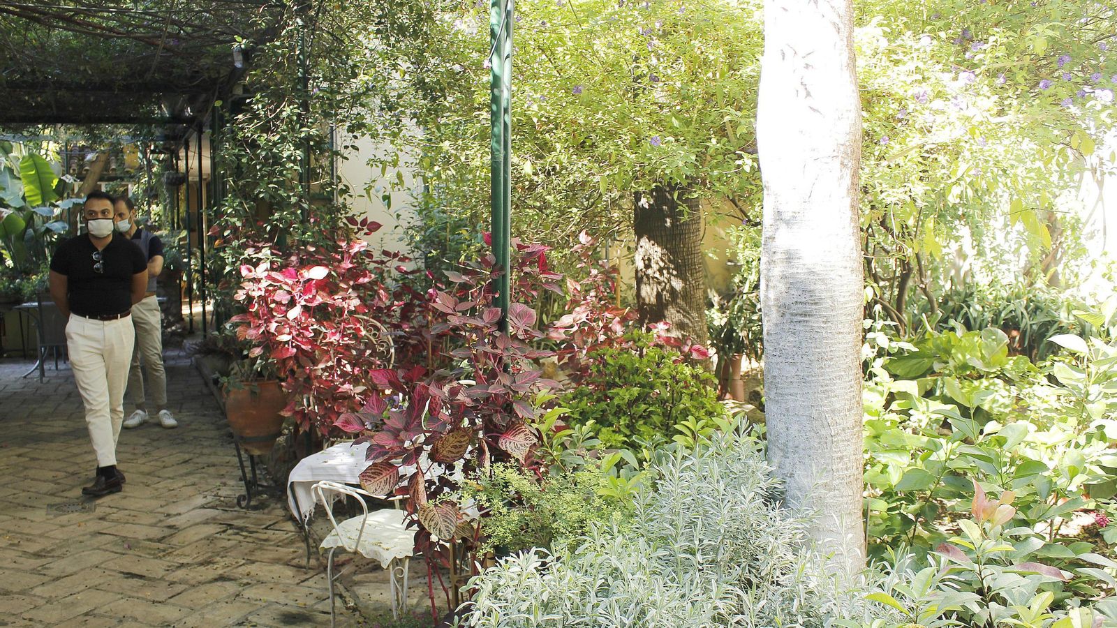 Vegetación de múltiples colores en la plaza de las Tazas, 11.