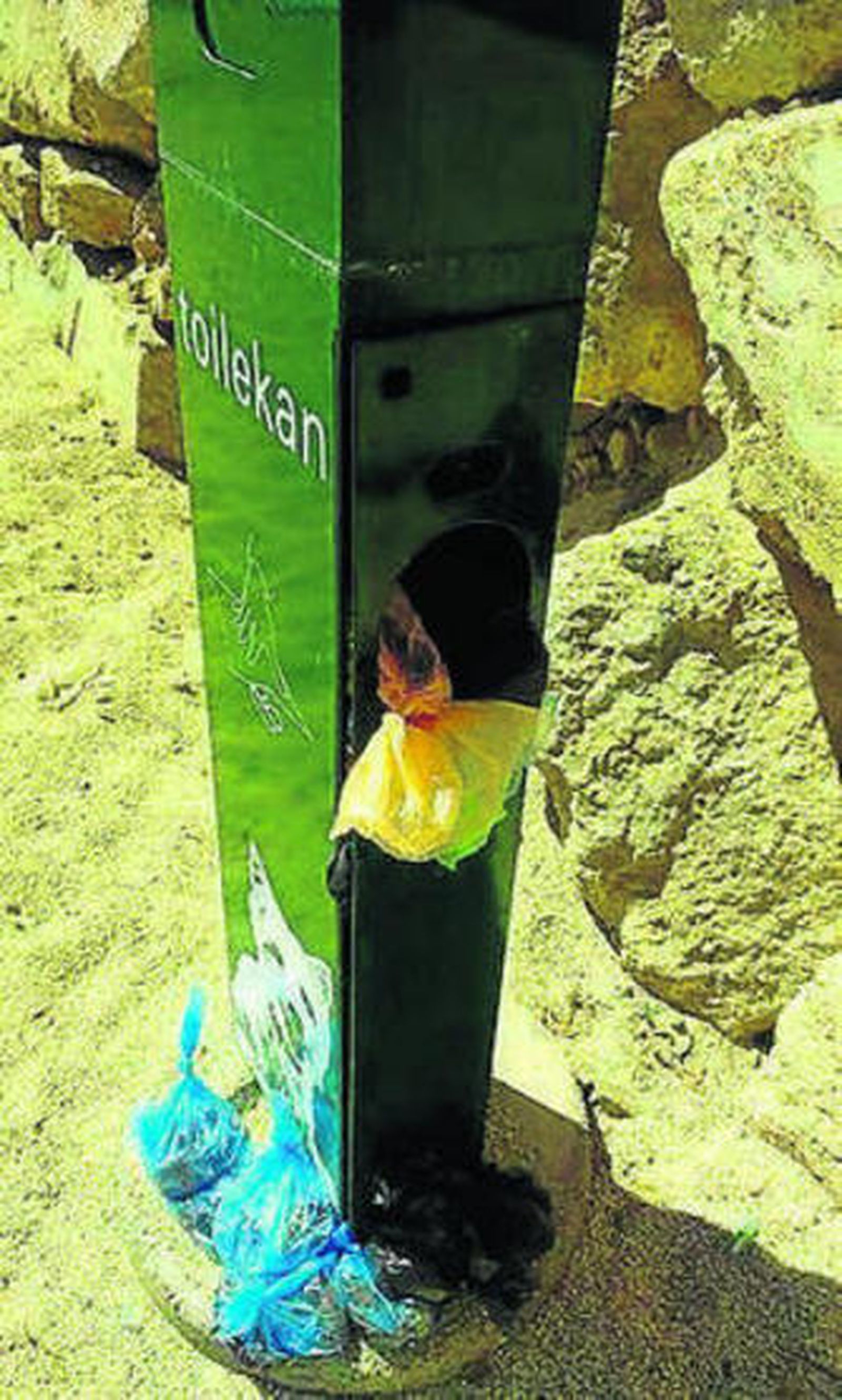 Toilekan de Las Colinas.