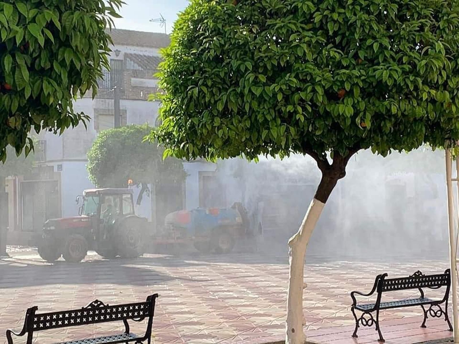 Labores de desinfección en Fuente Palmera.