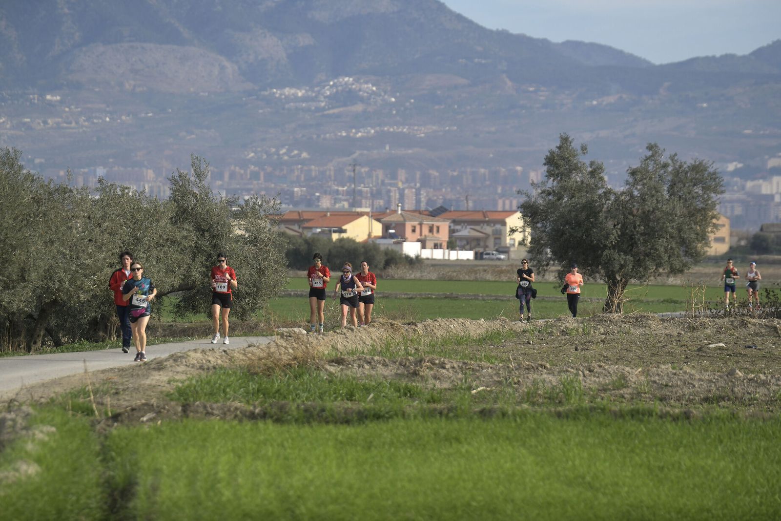 Las imágenes de la Carrera de la Ruta del Secadero de Cúllar Vega
