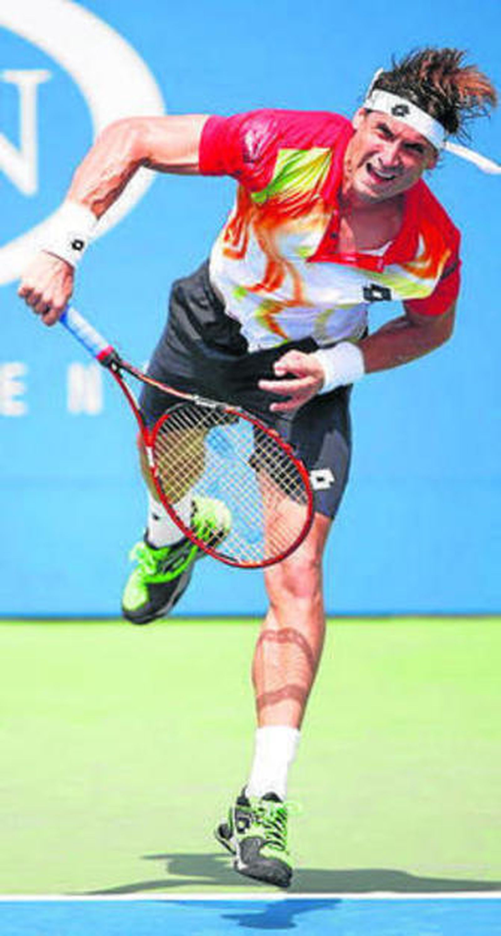David Ferrer.