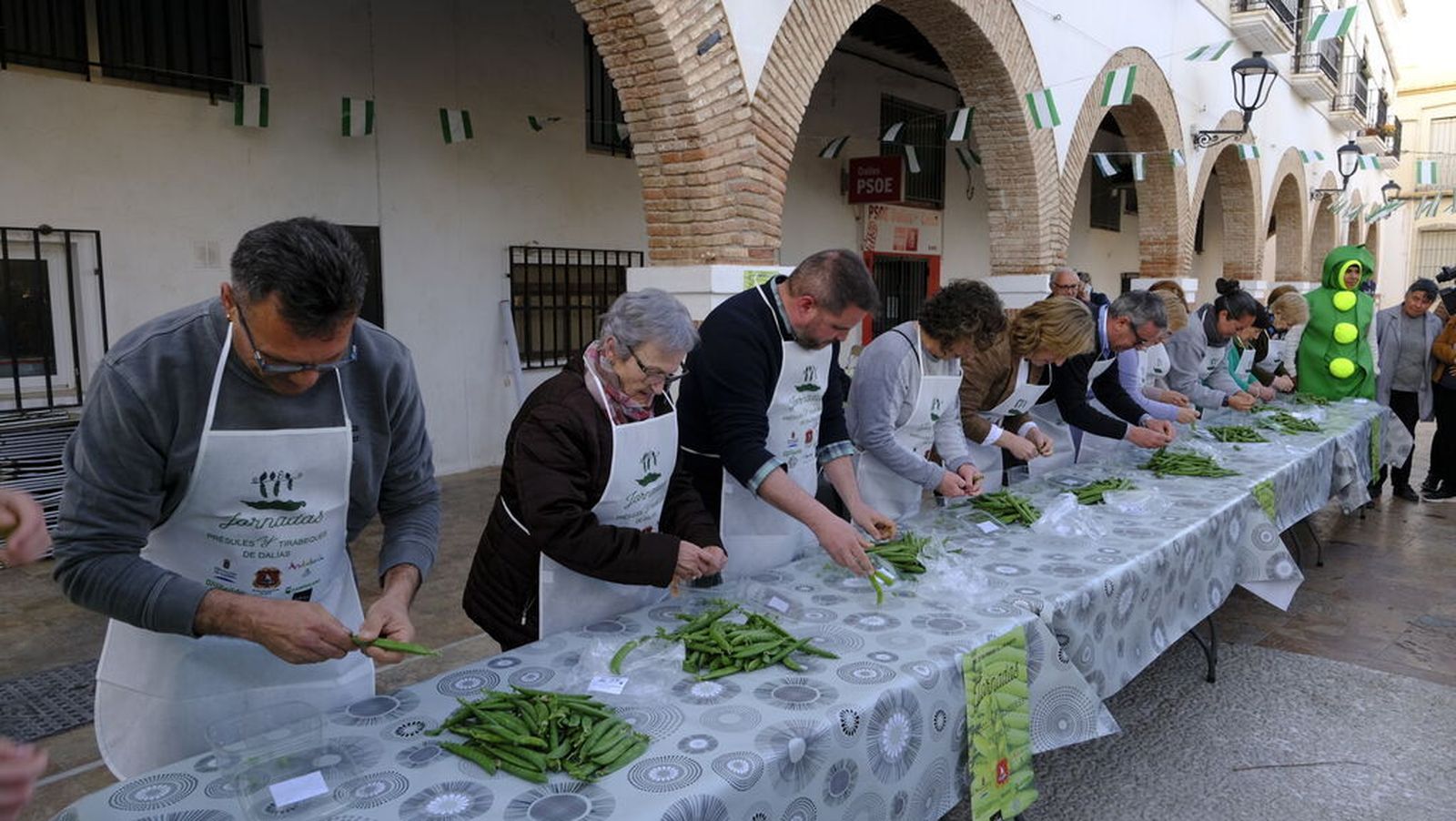 Momento del desgrane del tirabeque.