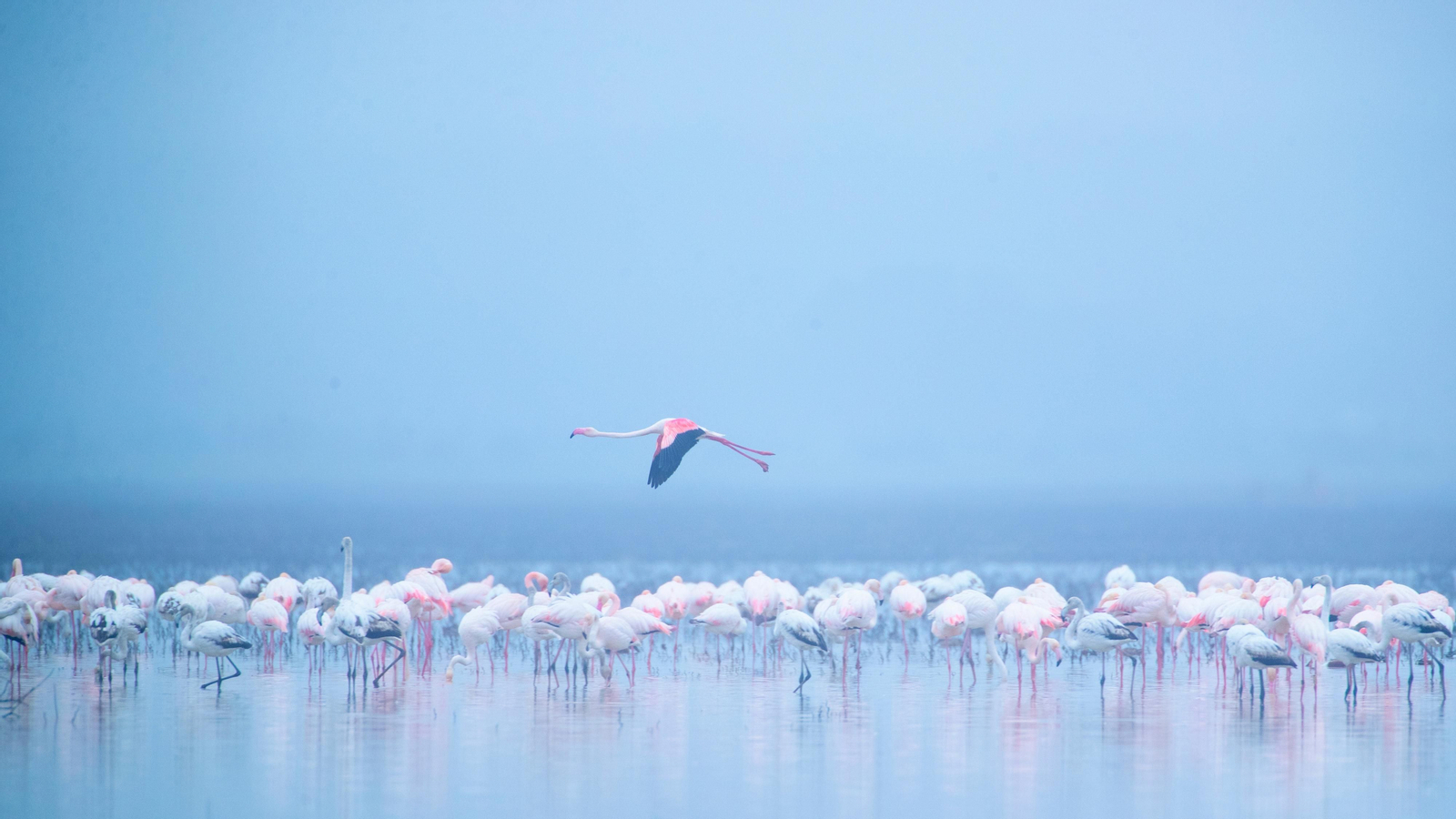 Día Mundial de Agua 2022