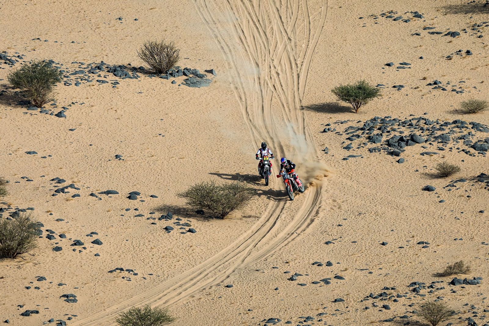 Las mejores fotos del Rally Dakar | undécima etapa