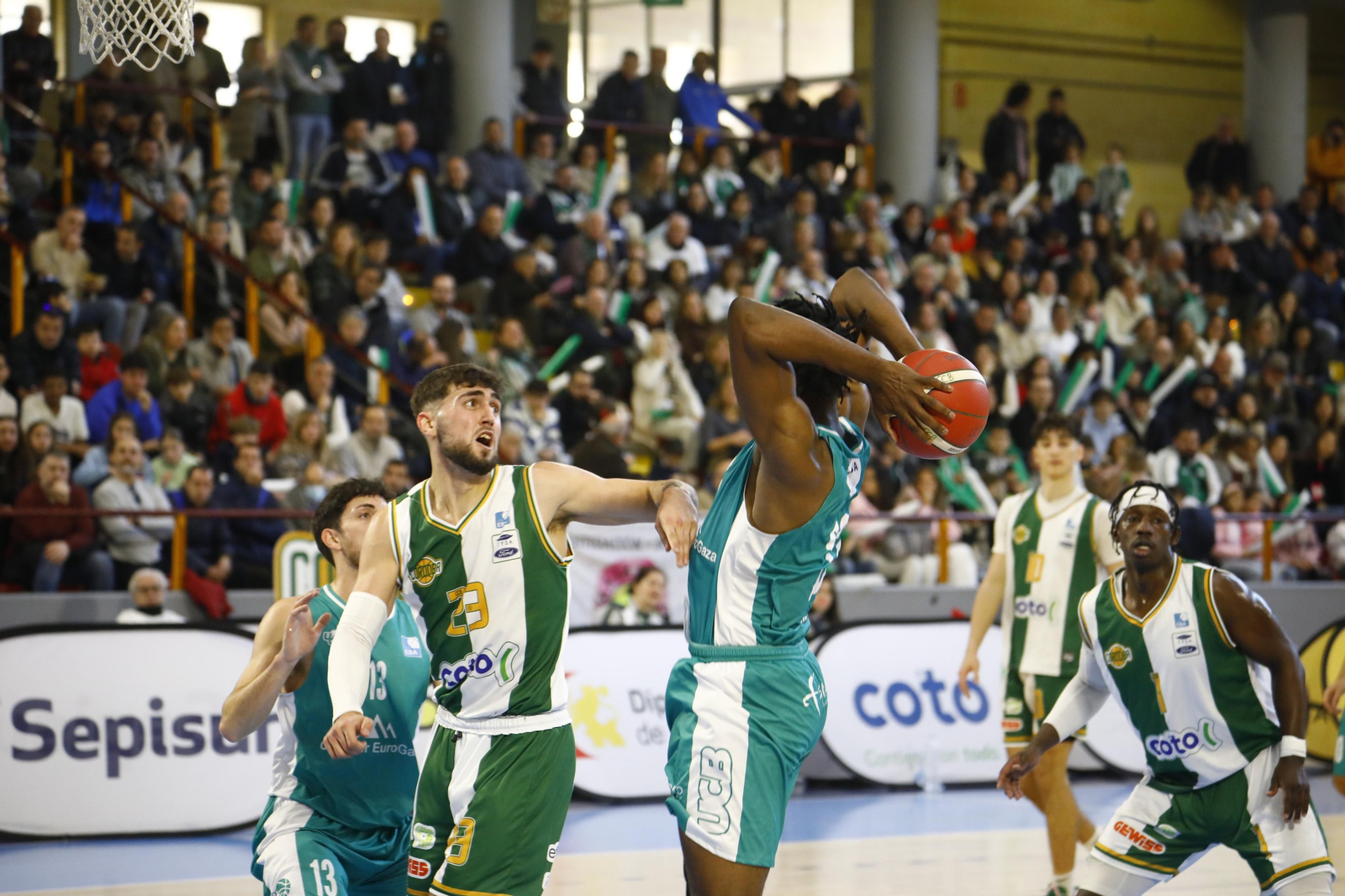 Las mejores fotos del ambiente en Vista Alegre para el derbi entre el Coto Córdoba y el UCB Camper Eurogaza