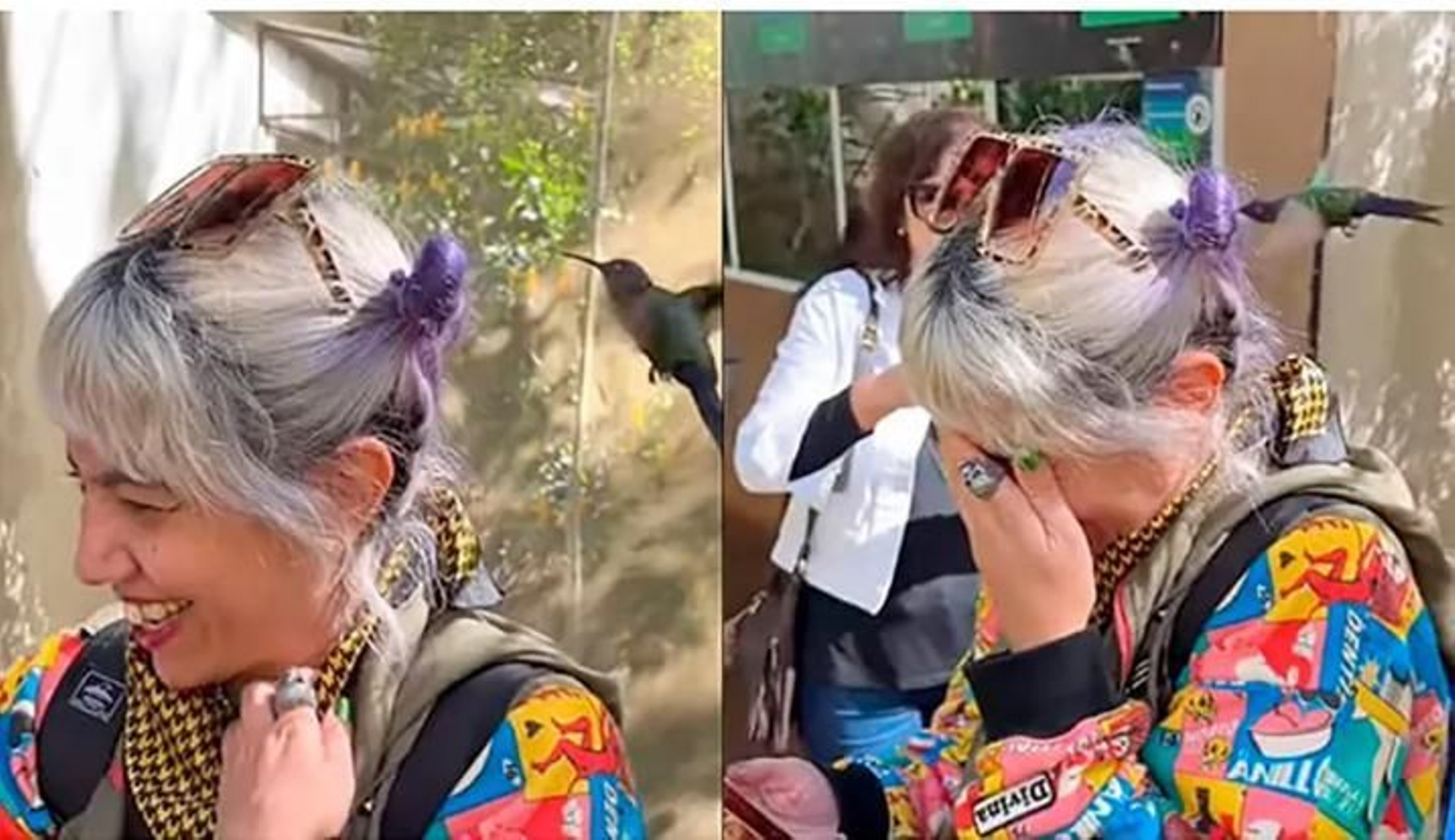 Un colibrí confunde el pelo de una chica con una flor y se posa en ella