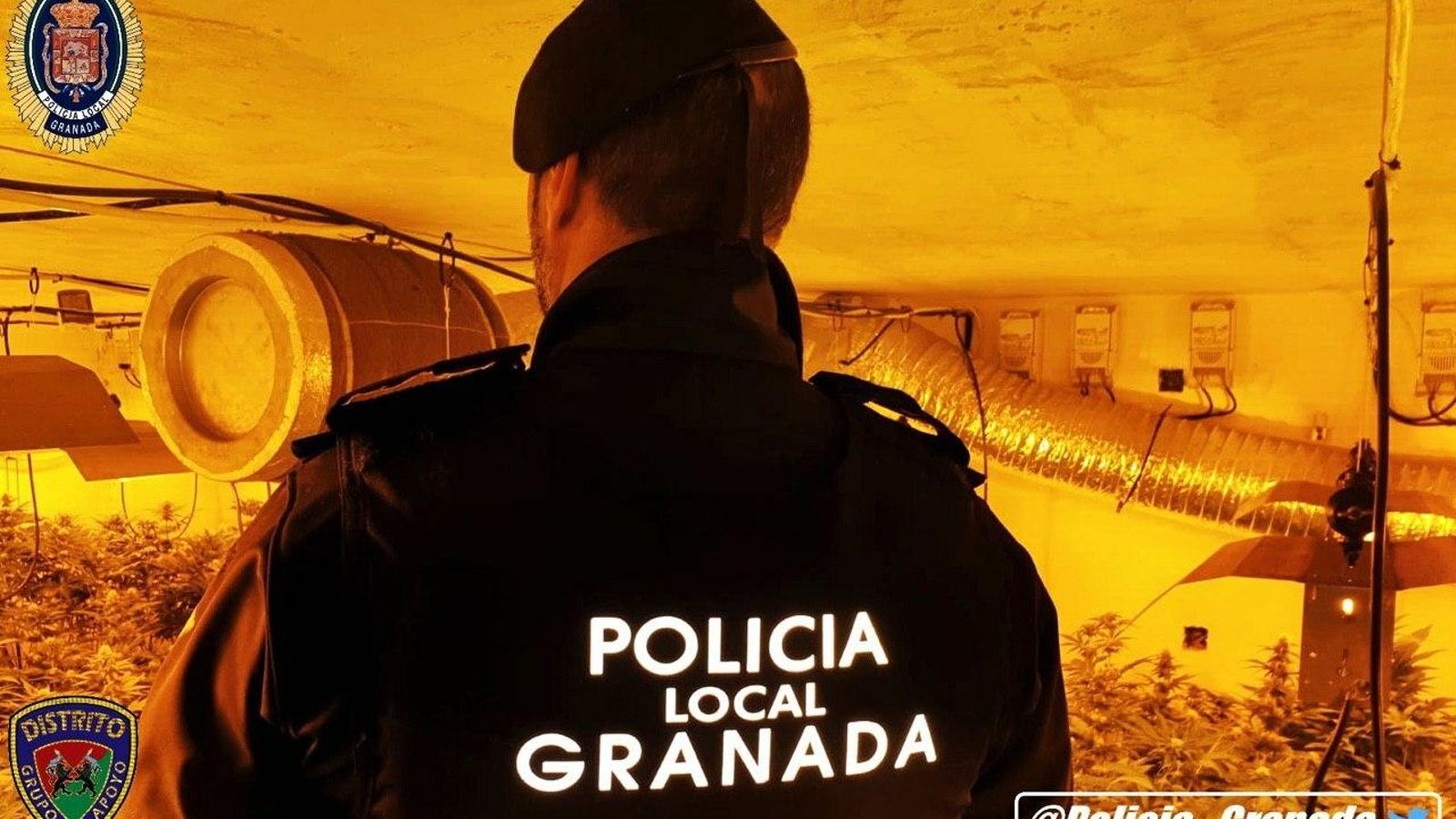 Los agentes informaron a Endesa del fraude eléctrico