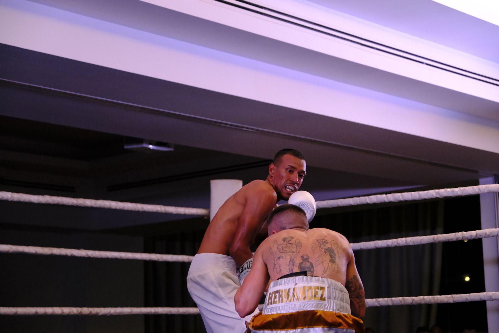 Fotogalería de la velada de boxeo Diamonds Boxing