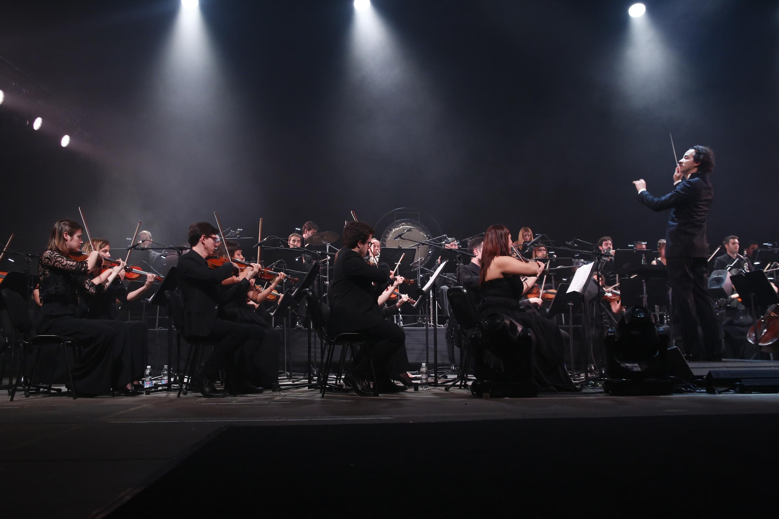 Imágenes del concierto de Miguel Ríos