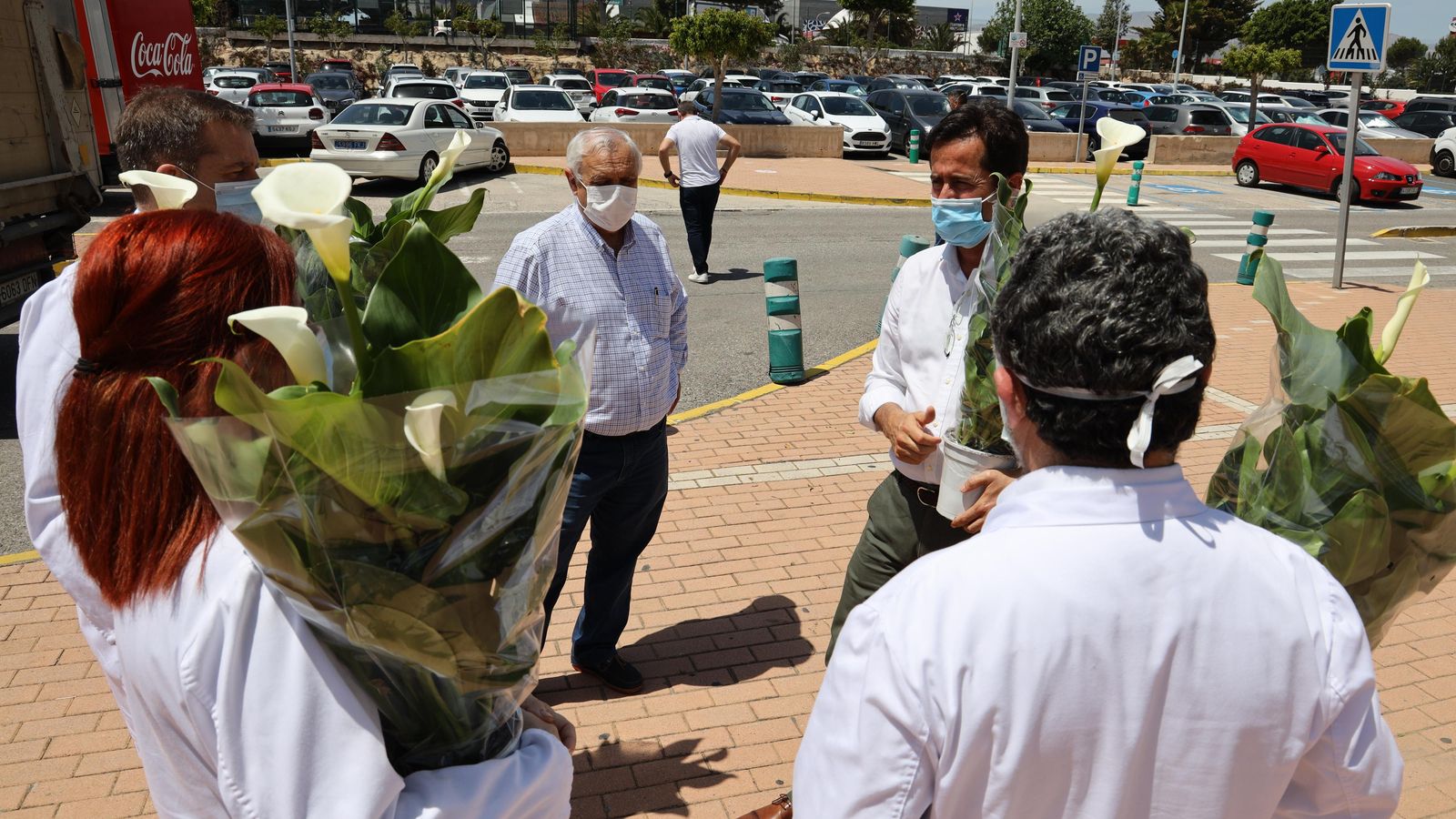 Reparto de flores y plantas.